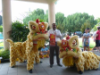 Lion Dance